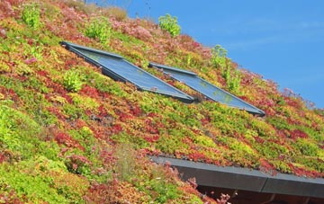 Monk Sherborne living roof systems