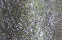 Monk Sherborne fibreglass roof work